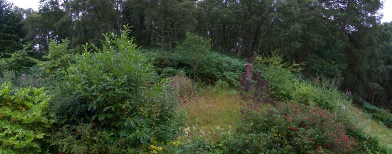 Pottery House Loch Ness Bed & Breakfast Inverness Exterior foto